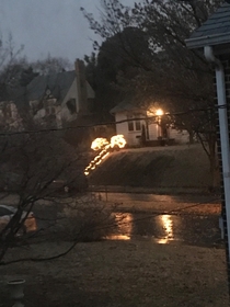 My neighbors really got into the holiday spirit this year