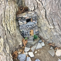 My neighbour built this treehouse