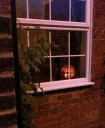 My neighbour getting into the Halloween spirit