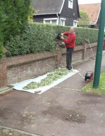 My neighbour is making the biggest doobie ever