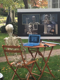 My neighbours Skeleton Zoom display rules