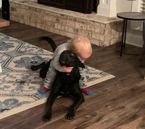 My nephew and his dog are best friends cant you tell