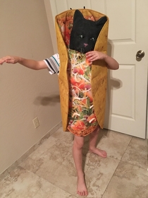 My nephew is a taco cat for Halloweenits spelled the same forward as backward