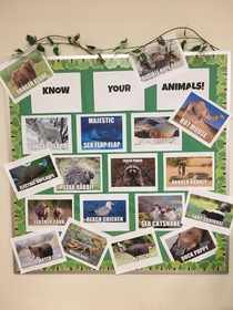 My new classroom bulletin board