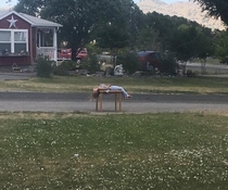 My niece is selling cookies