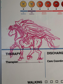 My nurses wanted more dry erase art I complied with anxious pre-op Anatomy Pegasus