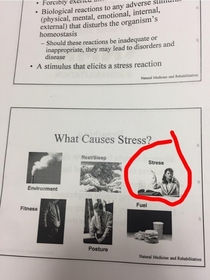 My office had a seminar about stress in the workplace Ever been so stressed that even your stress is stressed