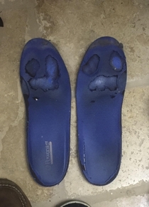 My old insoles have seen some shit