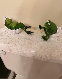 My parents have frogs filming questionable froggy things on their toilet