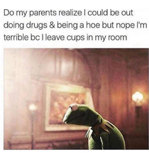 My parents should appreciate me
