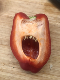 My pepper was shouting at me