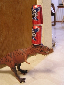My pet lizard Susie balancing two soda cans on her head