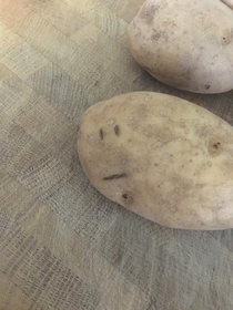 My potato is having an existential crisis