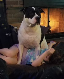 My puppy had enough of my daughter running around