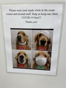 My puppys vet is cool