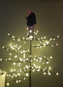 My Reddit secret Santa got me a Danny Devito cardboard cut out and now he is the star of my twig tree if the person who sent me this sees this post thank you so much I love it