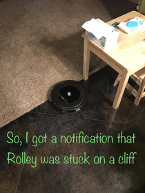 My Roomba thought it was falling off a cliff so it quivered here in fear until his battery died