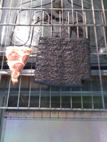 My roommate came home drunk put a pizza in the oven then passed out  hours later and this is the result compared to properly cooked pizza