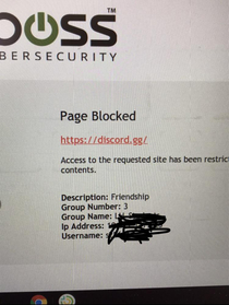 My school blocked discord cause of Friendship