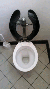 My schools toilet view