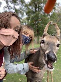 My sister and I wanted a selfie with a deer