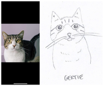 My sister commissioned an artist on Etsy to draw her roommates cat This is what she got
