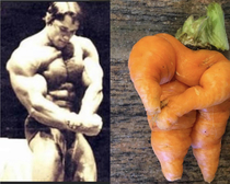 My sister grew a carrot that looks like Arnold