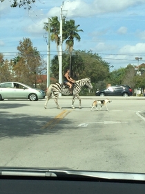 My sister lives in Florida and sends some weird pictures of people This was most recent