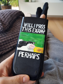 My sister painted my calculator D