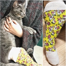 My sisters cat broke her leg and is suffering the ultimate humiliation Will the peasants ever fear and obey her again