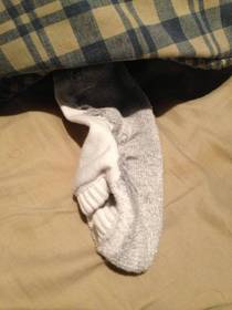 My sock is happily plotting my death