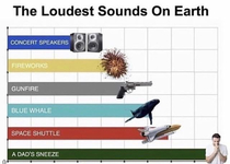 My son always complains about how loud I sneeze He just sent me this