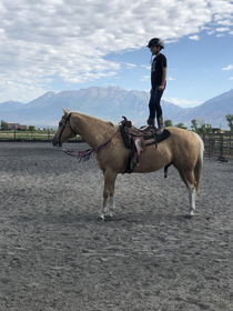 My son enjoyed standing on the horse but if you look close the horse seem to enjoy it too