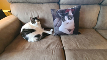 My son gave me a pillow with my cats picture on it for Christmas l think she likes it