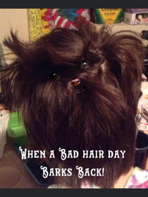 My son had a bad hair day I just made it better