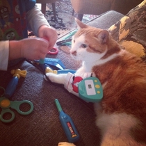My son playing doctor with the best cat ever
