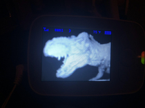 My son thought it would be funny to put his toy in front of the baby monitor