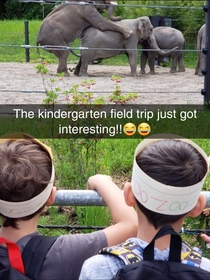 My son took a field trip to the zoo today