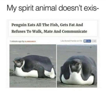 My spirit animal doesnt exis-