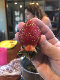 My strawberry had balls