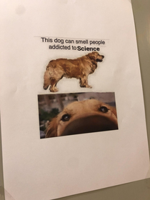 My teacher put this up on the wall in our school