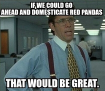 My thought whenever a red panda makes it to the front page