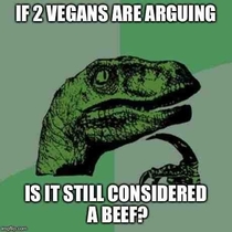 My thoughts about vegans