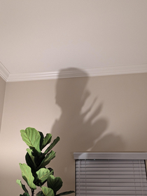My trees shadow looks like Groot