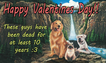 My valentines day card