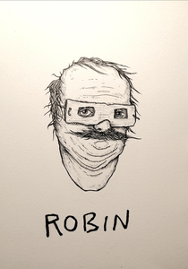 my version of robin OC