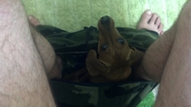 My Weiner whenever I go to the bathroom
