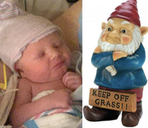 My wife and our lawn gnome has some splaining to do