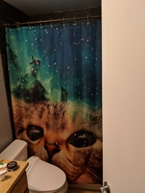 My wife barred me from drunken eBay purchases after I bought a shower curtain