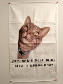 My wife gave me the perfect bathroom door tapestry for birthday